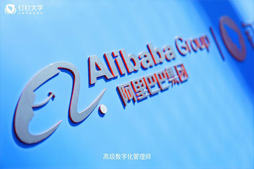 仙居钉钉大学高级数字化管理师认证培训现场拍摄